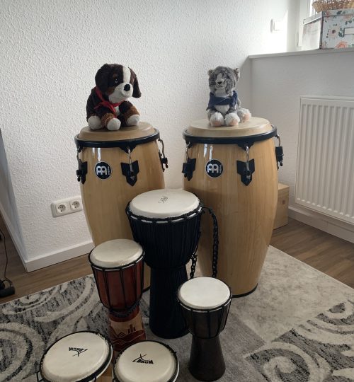 bongo
