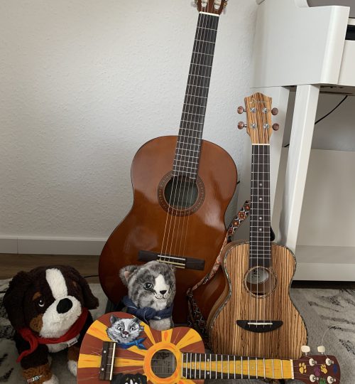 gitarren